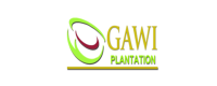 Gawi Plantation
